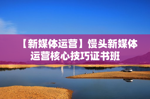 【新媒体运营】馒头新媒体运营核心技巧证书班