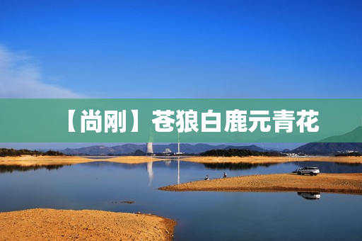 【尚刚】苍狼白鹿元青花