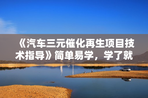 《汽车三元催化再生项目技术指导》简单易学，学了就会，会了能赚