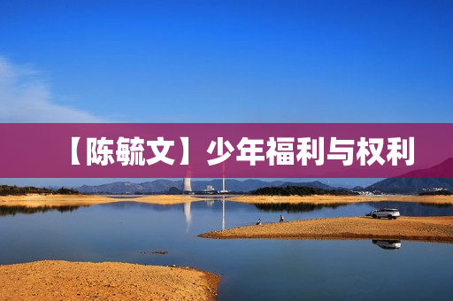 【陈毓文】少年福利与权利