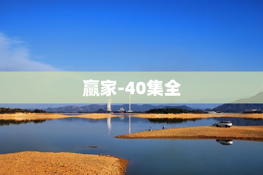 赢家-40集全