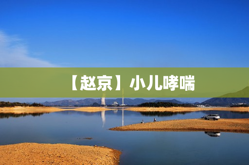 【赵京】小儿哮喘