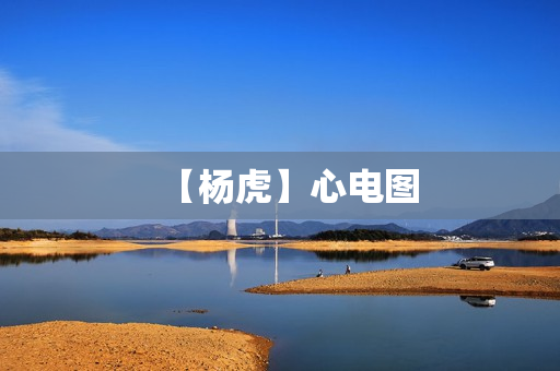 【杨虎】心电图