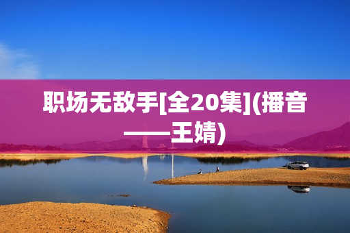 职场无敌手[全20集](播音——王婧)