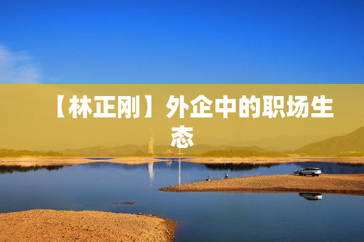 【林正刚】外企中的职场生态
