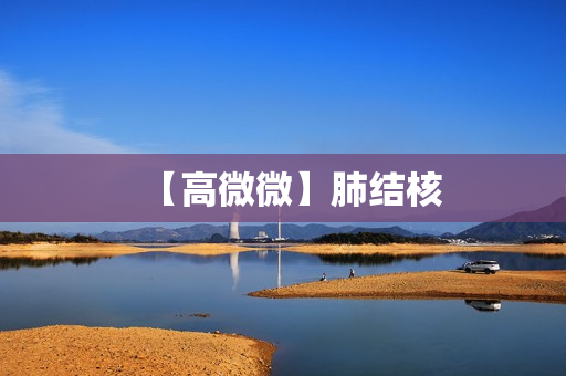【高微微】肺结核