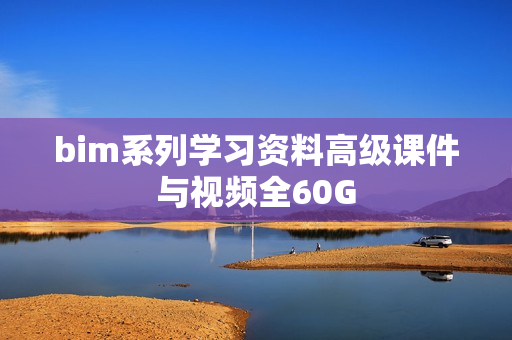 bim系列学习资料高级课件与视频全60G