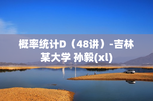 概率统计D（48讲）-吉林某大学 孙毅(xl)