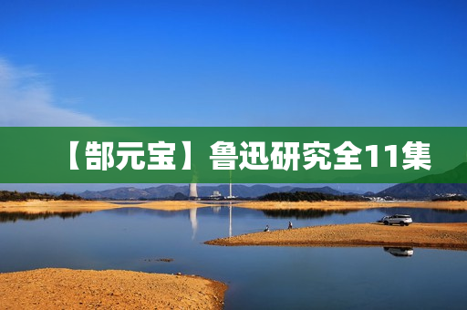 【郜元宝】鲁迅研究全11集