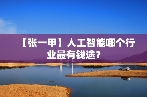 【张一甲】人工智能哪个行业最有钱途？
