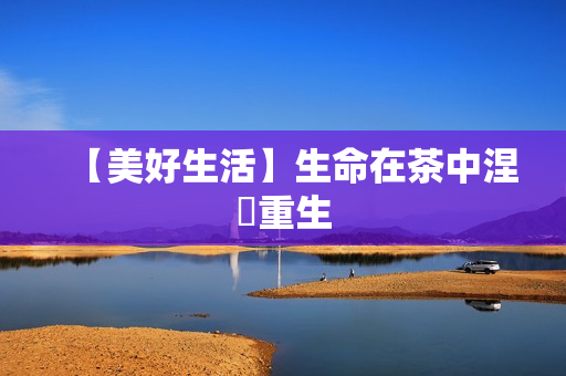 【美好生活】生命在茶中涅槃重生