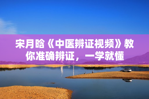 宋月晗《中医辨证视频》教你准确辨证，一学就懂