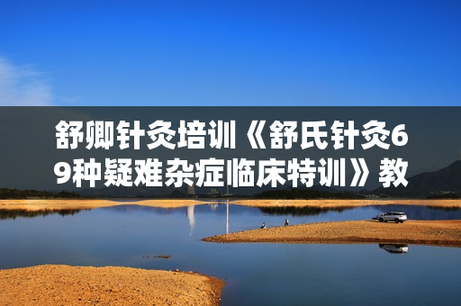 舒卿针灸培训《舒氏针灸69种疑难杂症临床特训》教学视频
