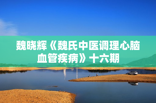魏晓辉《魏氏中医调理心脑血管疾病》十六期