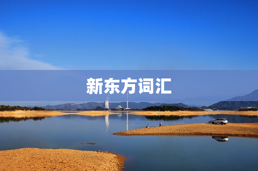 新东方词汇