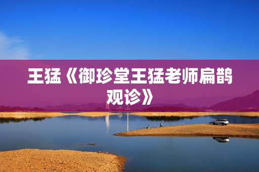 王猛《御珍堂王猛老师扁鹊观诊》
