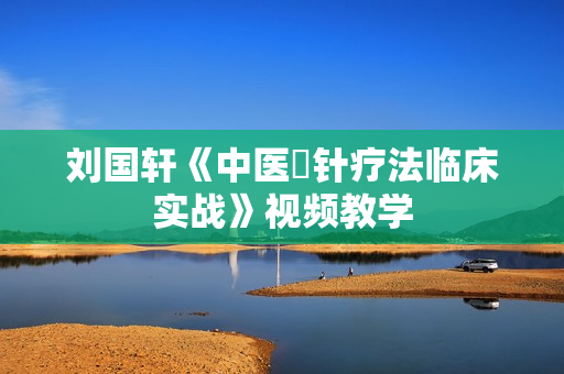 刘国轩《中医炁针疗法临床实战》视频教学