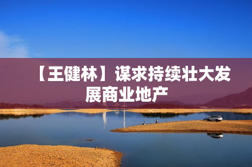 【王健林】谋求持续壮大发展商业地产