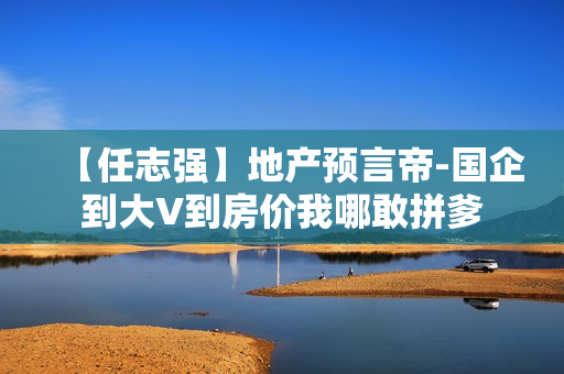 【任志强】地产预言帝-国企到大V到房价我哪敢拼爹