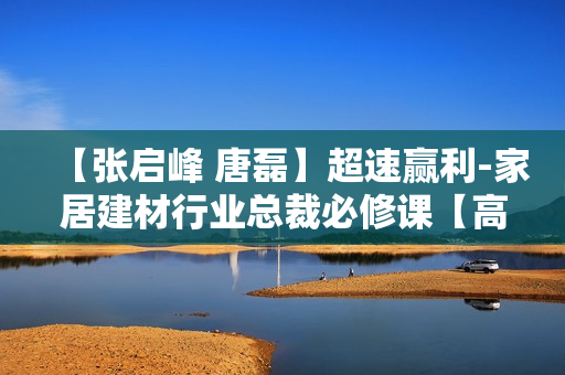 【张启峰 唐磊】超速赢利-家居建材行业总裁必修课【高清】
