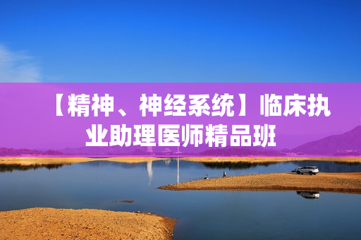 【精神、神经系统】临床执业助理医师精品班