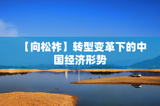 【向松祚】转型变革下的中国经济形势
