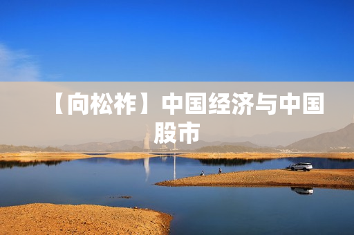【向松祚】中国经济与中国股市