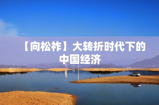 【向松祚】大转折时代下的中国经济