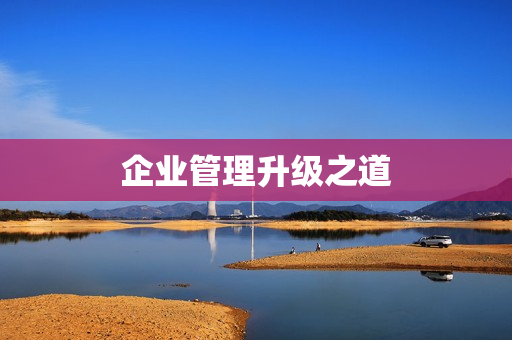 企业管理升级之道