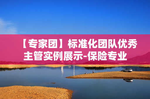 【专家团】标准化团队优秀主管实例展示-保险专业