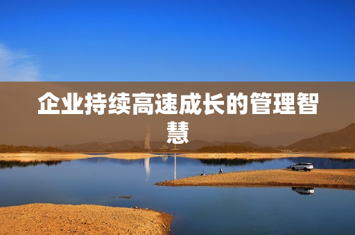企业持续高速成长的管理智慧