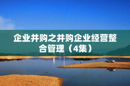 企业并购之并购企业经营整合管理（4集）