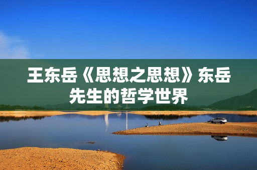 王东岳《思想之思想》东岳先生的哲学世界