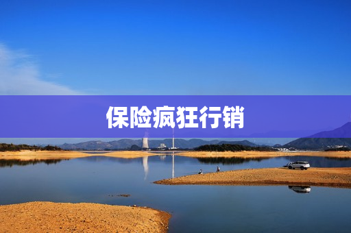 保险疯狂行销