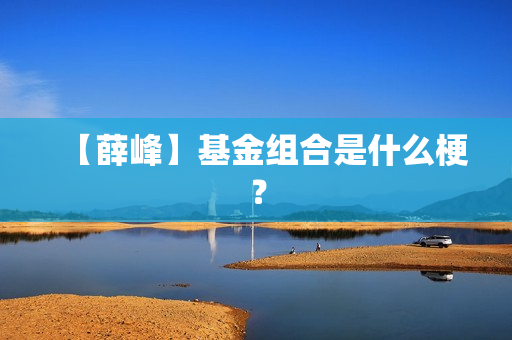 【薛峰】基金组合是什么梗？