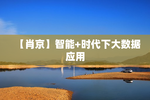 【肖京】智能+时代下大数据应用