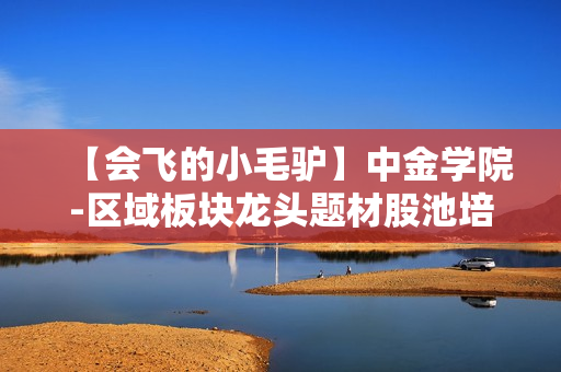 【会飞的小毛驴】中金学院-区域板块龙头题材股池培训课程