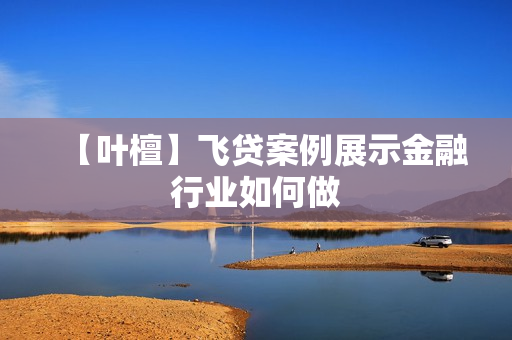 【叶檀】飞贷案例展示金融行业如何做