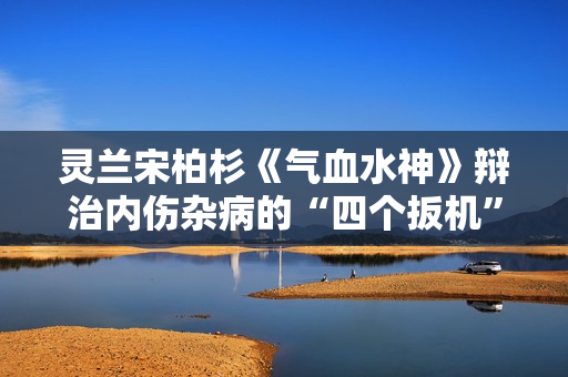 灵兰宋柏杉《气血水神》辩治内伤杂病的“四个扳机”