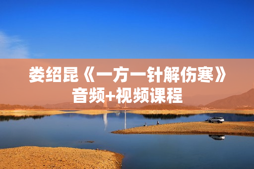 娄绍昆《一方一针解伤寒》音频+视频课程