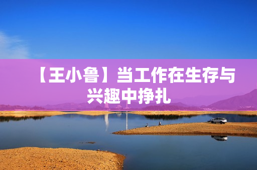 【王小鲁】当工作在生存与兴趣中挣扎