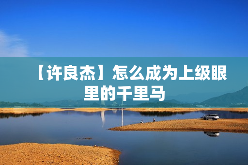 【许良杰】怎么成为上级眼里的千里马