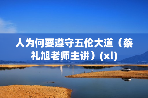人为何要遵守五伦大道（蔡礼旭老师主讲）(xl)