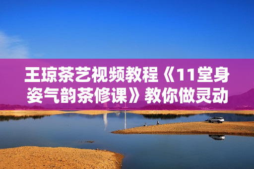 王琼茶艺视频教程《11堂身姿气韵茶修课》教你做灵动女神