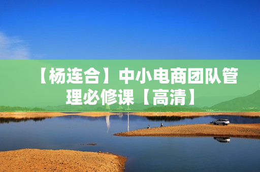 【杨连合】中小电商团队管理必修课【高清】