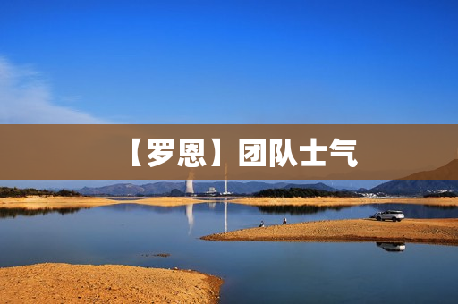 【罗恩】团队士气