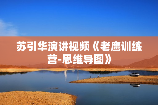 苏引华演讲视频《老鹰训练营-思维导图》