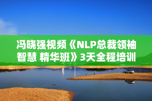 冯晓强视频《NLP总裁领袖智慧 精华班》3天全程培训课程视频  第1张