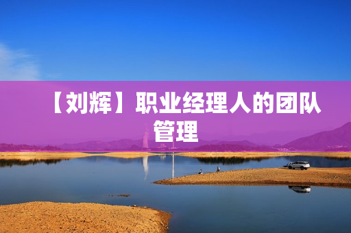 【刘辉】职业经理人的团队管理