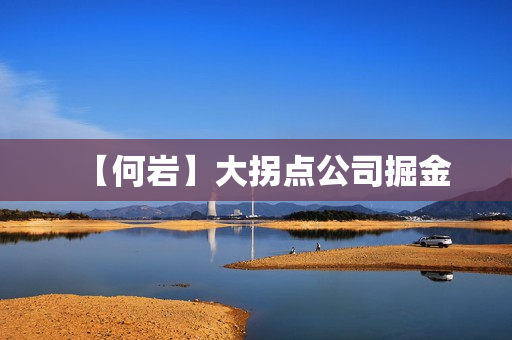 【何岩】大拐点公司掘金
